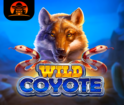 Wild Coyote