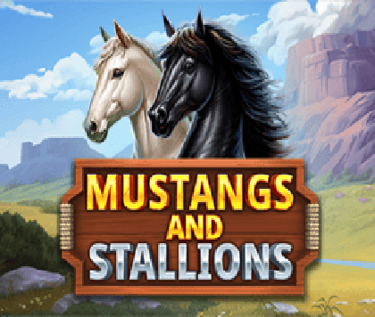 Mustang and Stallions