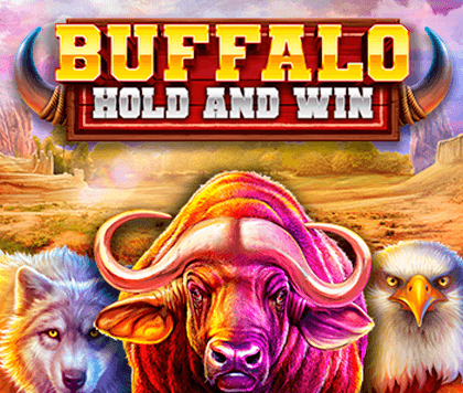 Buffalo Hold and Win