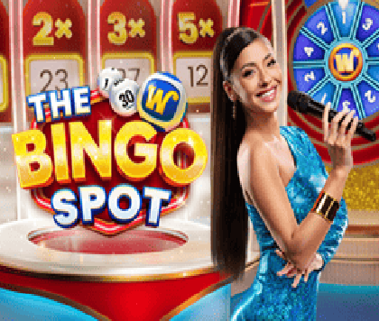 The Bingo Spot