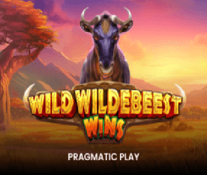 Wild Wildebeest Wins