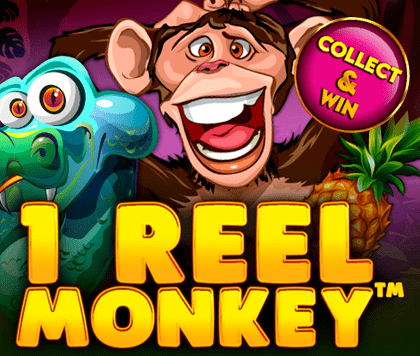 1 Reel Monkey
