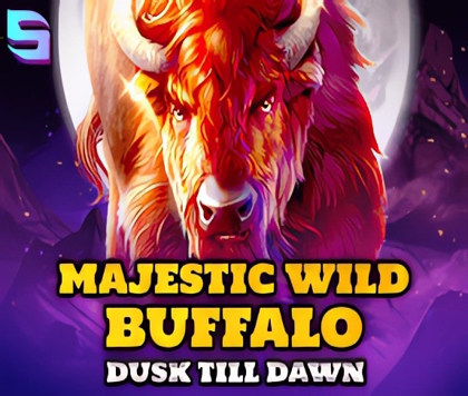 Majestic Wild Buffalo - Dusk Till Dawn