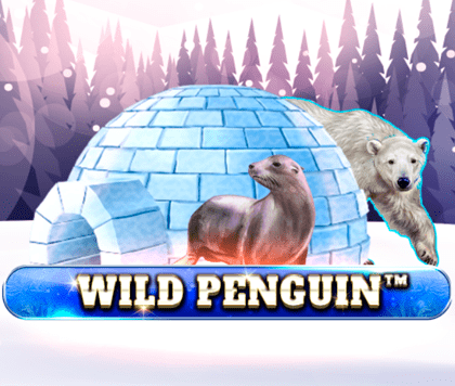 Wild Penguin