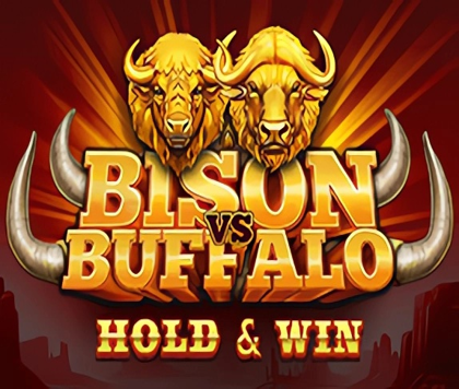 Bison vs Buffalo