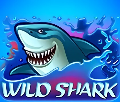 Wild Shark