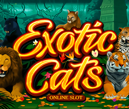 Exotic Cats